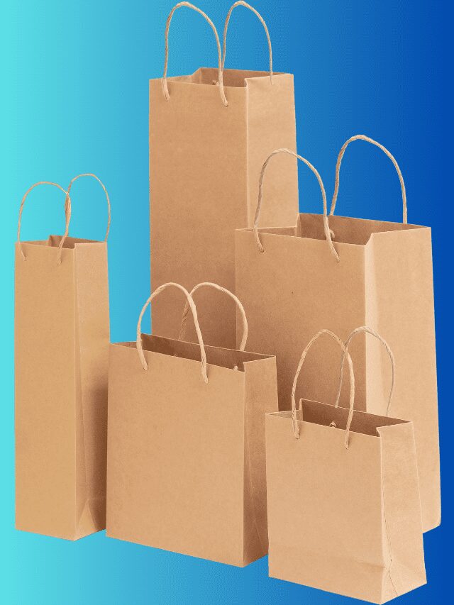 कागदी पिशवीचा व्यवसाय सुरू करा, दरमहा 75 हजार रुपये कमवा!