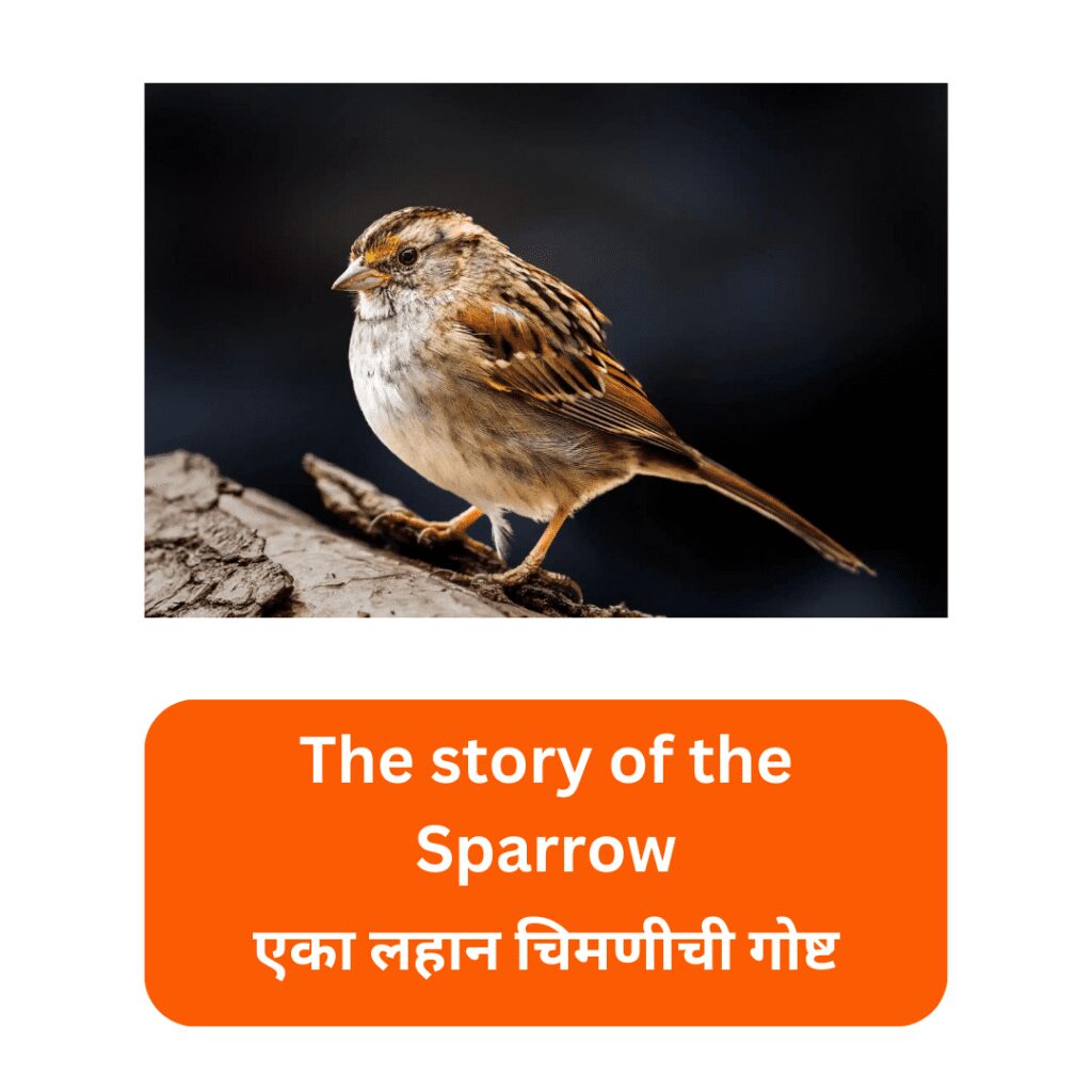 KATHA LEKHAN MARATHI | चिमणीची गोष्ट | The story of the Sparrow 2023