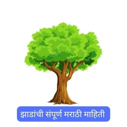 झाड मराठी माहिती 