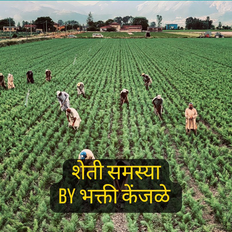 Farmer Problems in Marathi