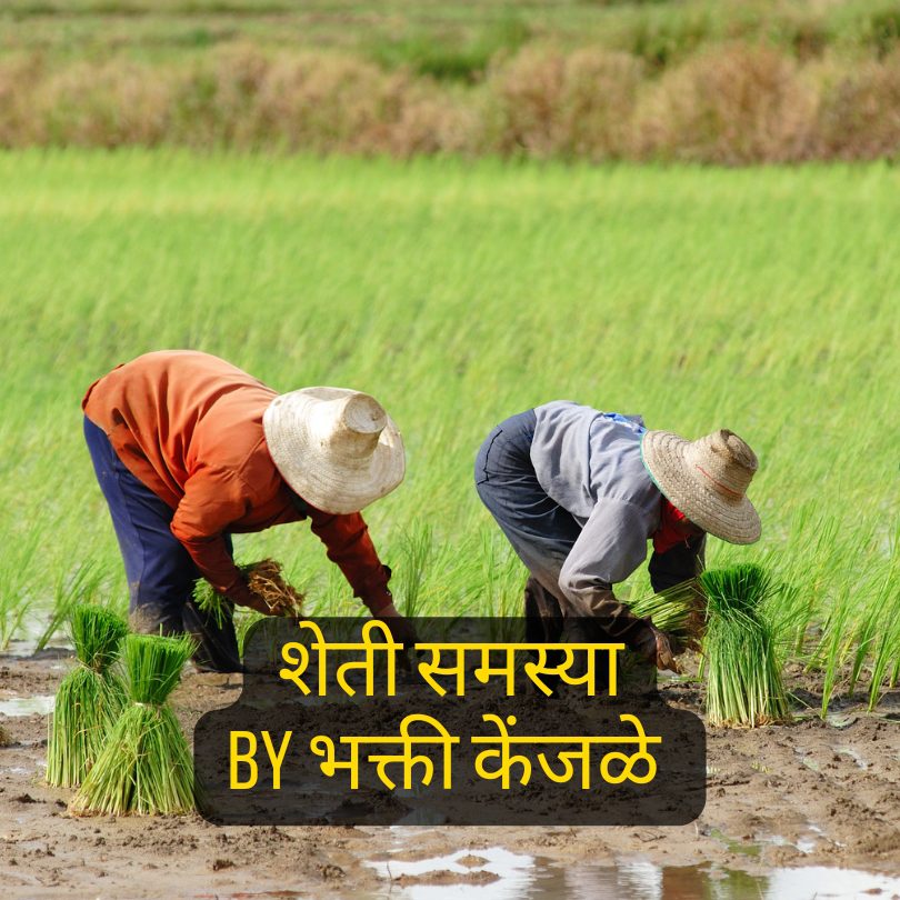 शेती समस्या | Farmer Problems in Marathi